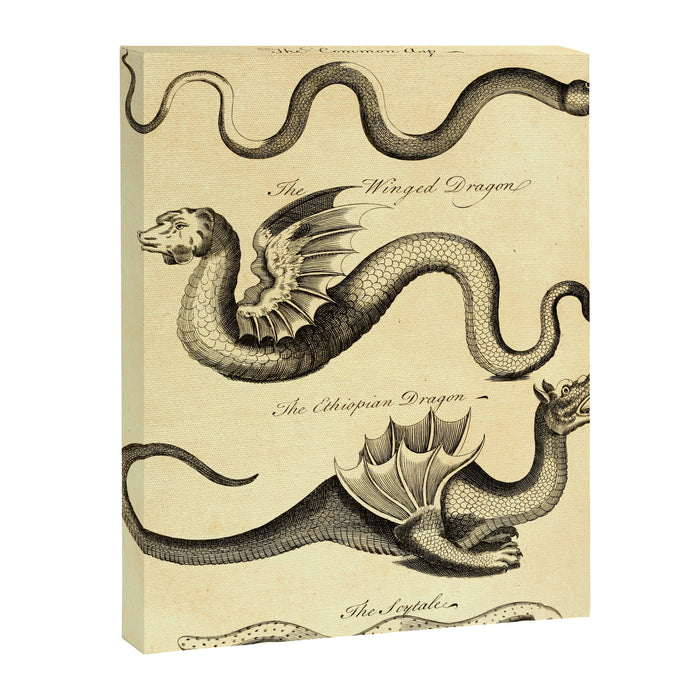Art from "An Essay Toward a Natural History of Serpents" (1742) Canvas Print Gallery Image 1