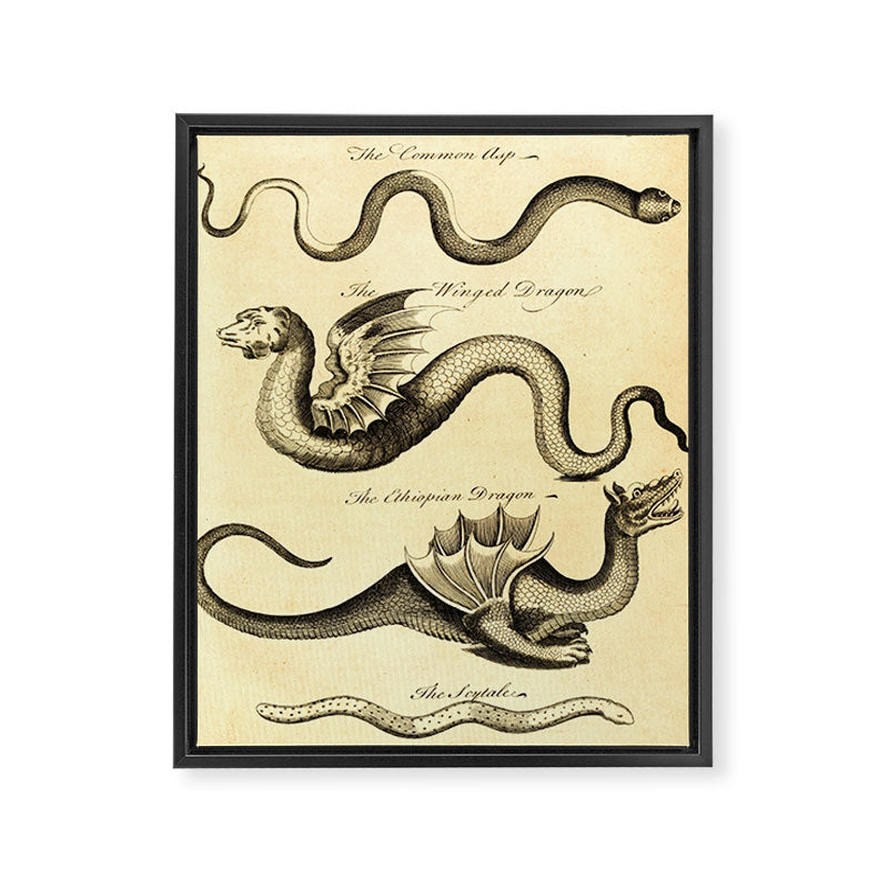 Art from "An Essay Toward a Natural History of Serpents" (1742) Framed Canvas Print Gallery Image 6