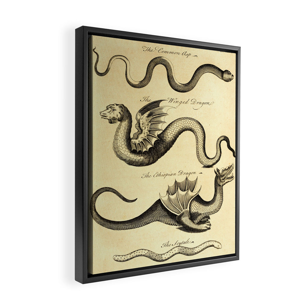 Art from "An Essay Toward a Natural History of Serpents" (1742) Framed Canvas Print Gallery Image 2