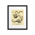 Art from "An Essay Toward a Natural History of Serpents" (1742) Framed Art Print Gallery Image 5