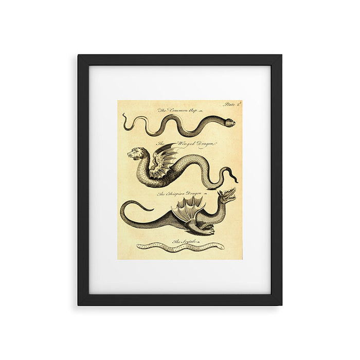Art from "An Essay Toward a Natural History of Serpents" (1742) Framed Art Print Gallery Image 1
