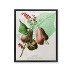 Art from "Flore dâAmÃ©rique" by Ãtienne Denisse, 1840s Framed Canvas Print Gallery Image 6