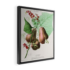 Art from "Flore dâAmÃ©rique" by Ãtienne Denisse, 1840s Framed Canvas Print Gallery Image 2