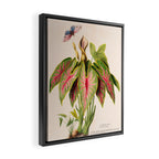 Art from "Flore dâAmÃ©rique" by Ãtienne Denisse, 1840s Framed Canvas Print Gallery Image 2