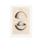 Art from Thomas Wright's "An Original Theory or New Hypothesis of the Universe," 1750 Art Print Gallery Image 1