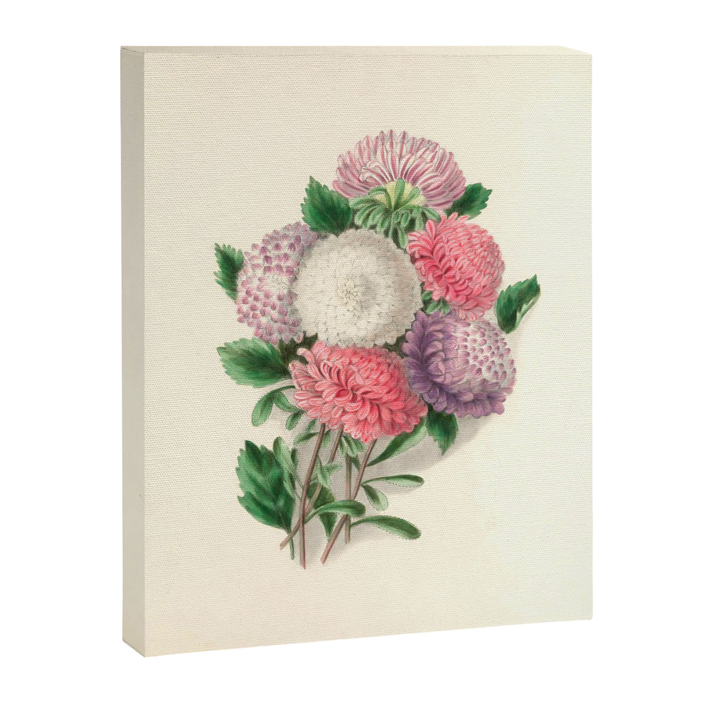  Asters by Clarissa Munger Badger, "Floral Belles," 1866 (benefitting The Nature Conservancy) Canvas Print Gallery Image 6