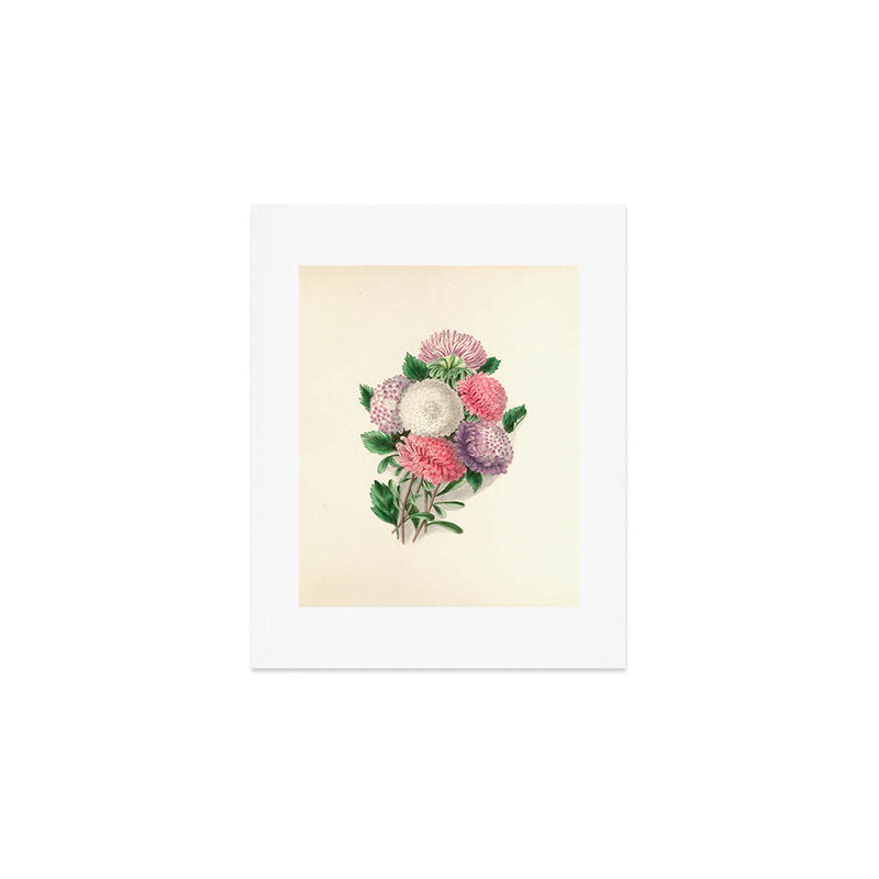  Asters by Clarissa Munger Badger, "Floral Belles," 1866 (benefitting The Nature Conservancy) Art Print Gallery Image 1