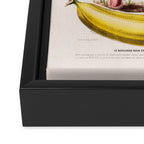 Banana from "Flore dâAmÃ©rique" by Ãtienne Denisse, 1840s Framed Canvas Print Gallery Image 3