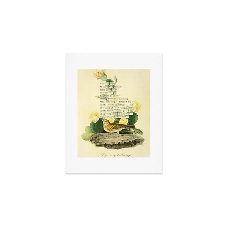 Bay-winged Bunting Divination from # An Almanac of Birds # Divinations for Uncertain Days Art Print Gallery Image 1