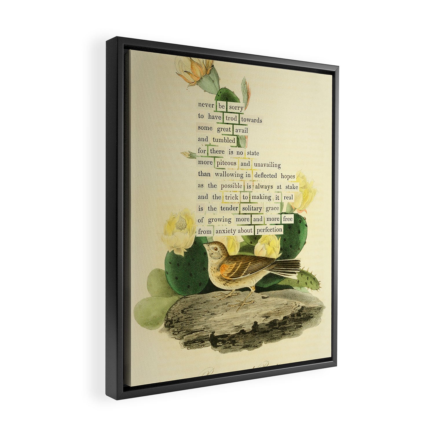 Bay-winged Bunting Divination from # An Almanac of Birds # Divinations for Uncertain Days Framed Canvas Print Gallery Image 2