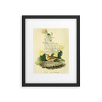 Bay-winged Bunting Divination from # An Almanac of Birds # Divinations for Uncertain Days Framed Art Print Gallery Image 5
