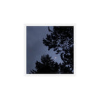 Benediction for the Lonely (benefiting The Nature Conservancy) Art Print Gallery Image 1