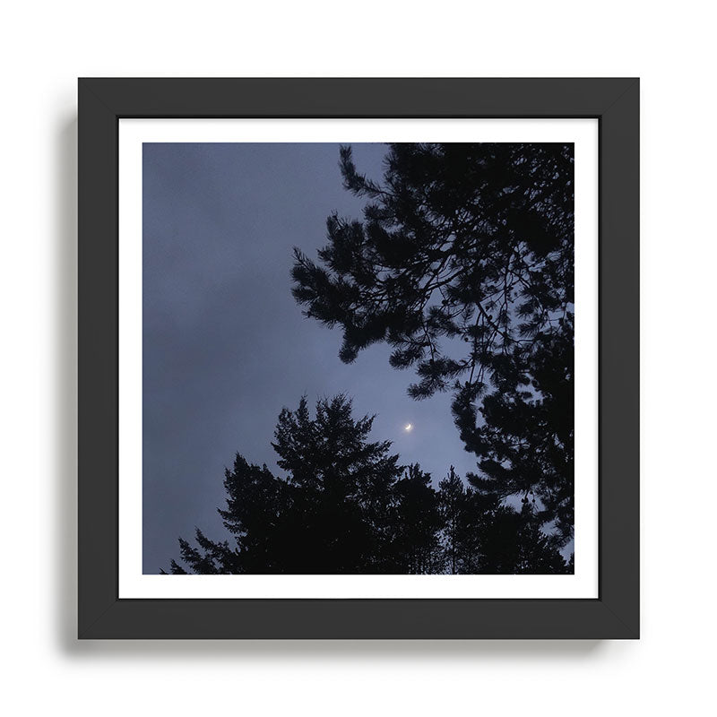 Benediction for the Lonely (benefiting The Nature Conservancy) Framed Art Print Gallery Image 1