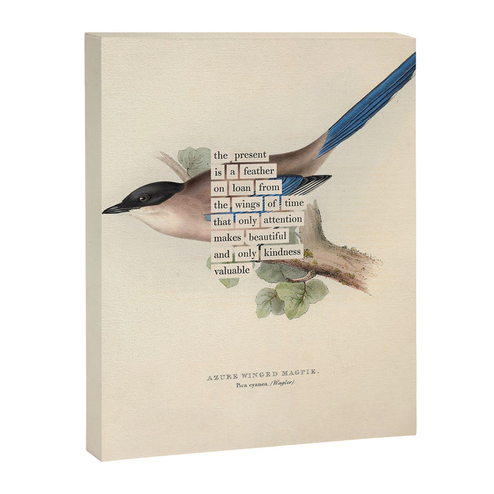 Bird Divinations: Azure Magpie (about: almanacofbirds.org) Canvas Print Gallery Image 1