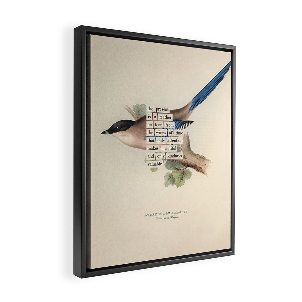 Bird Divinations: Azure Magpie (about: almanacofbirds.org) Framed Canvas Print Gallery Image 2