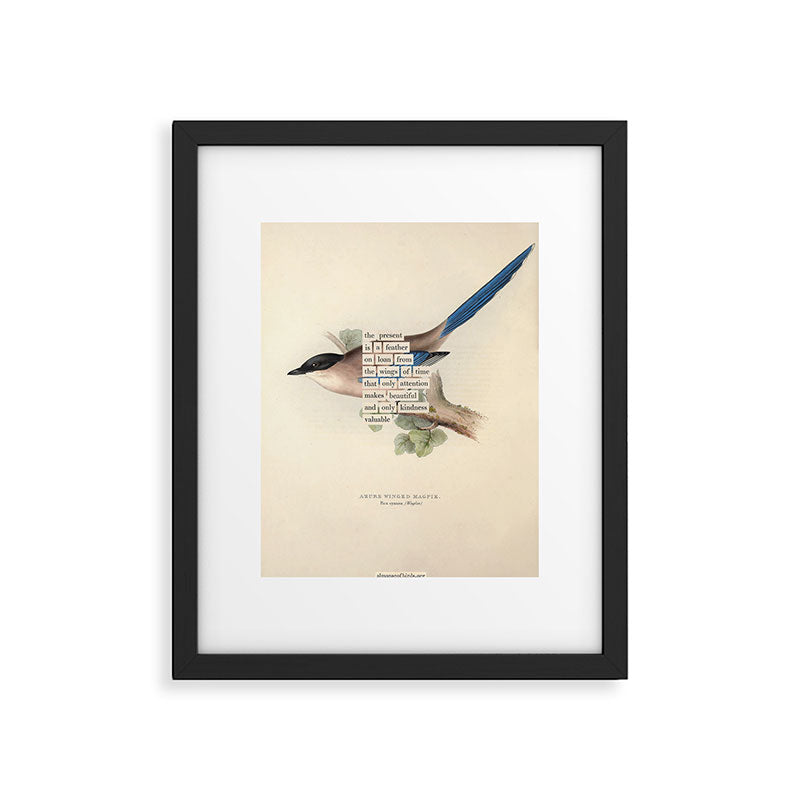 Bird Divinations: Azure Magpie (about: almanacofbirds.org) Framed Art Print Gallery Image 4