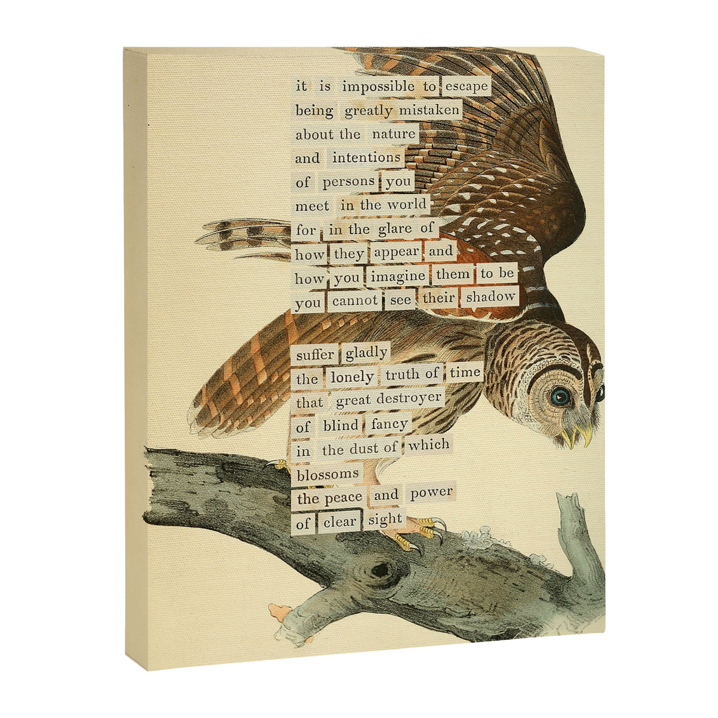 Bird Divinations: Barred Owl (about: almanacofbirds.org) Canvas Print Gallery Image 6