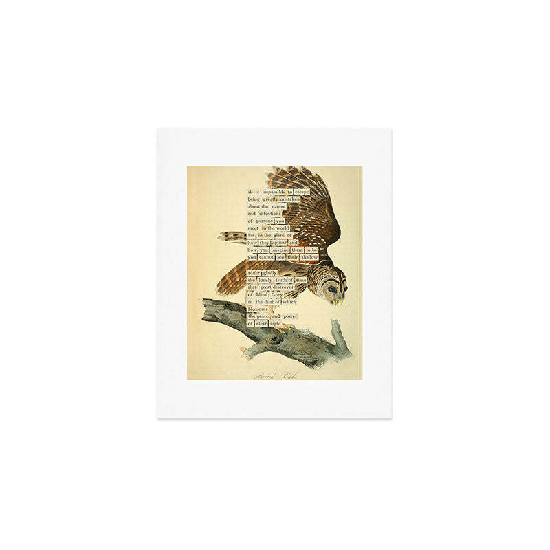 Bird Divinations: Barred Owl (about: almanacofbirds.org) Art Print Gallery Image 1