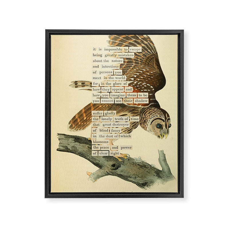 Bird Divinations: Barred Owl (about: almanacofbirds.org) Framed Canvas Print Gallery Image 6