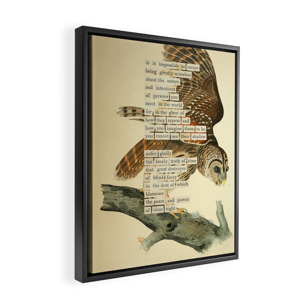 Bird Divinations: Barred Owl (about: almanacofbirds.org) Framed Canvas Print Gallery Image 2