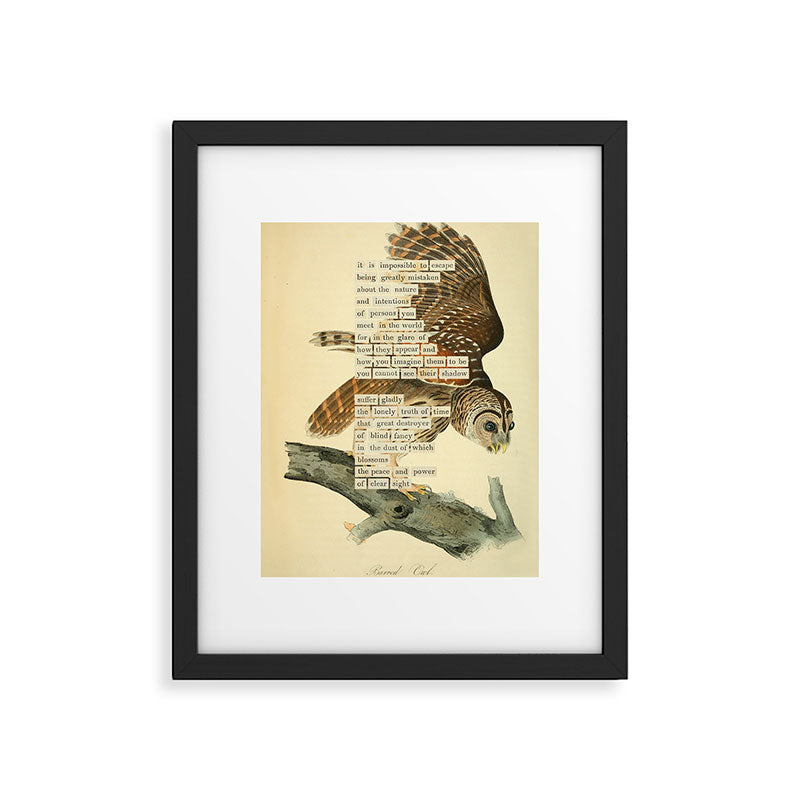Bird Divinations: Barred Owl (about: almanacofbirds.org) Framed Art Print Gallery Image 5
