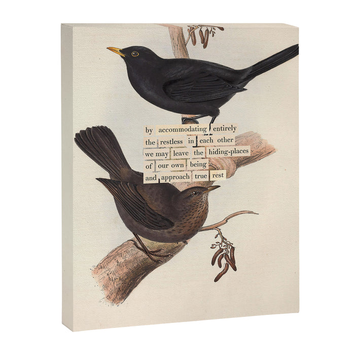 Bird Divinations: Blackbird (about: almanacofbirds.org) Canvas Print Gallery Image 1