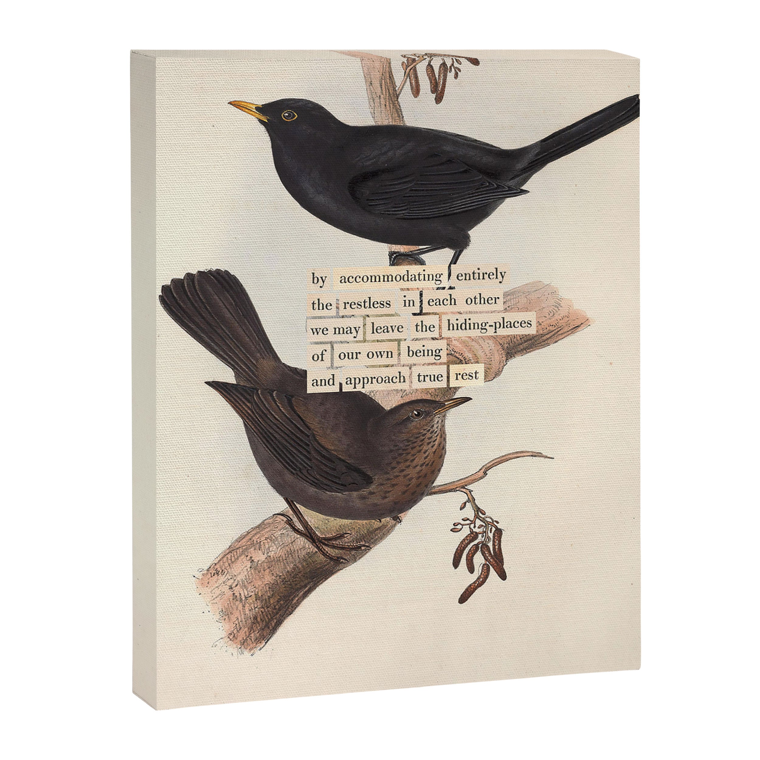 Bird Divinations: Blackbird (about: almanacofbirds.org) Canvas Print Gallery Image 6