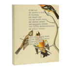 Bird Divinations: Black-headed Song-grosbeak (about: almanacofbirds.org)  Canvas Print Gallery Image 6