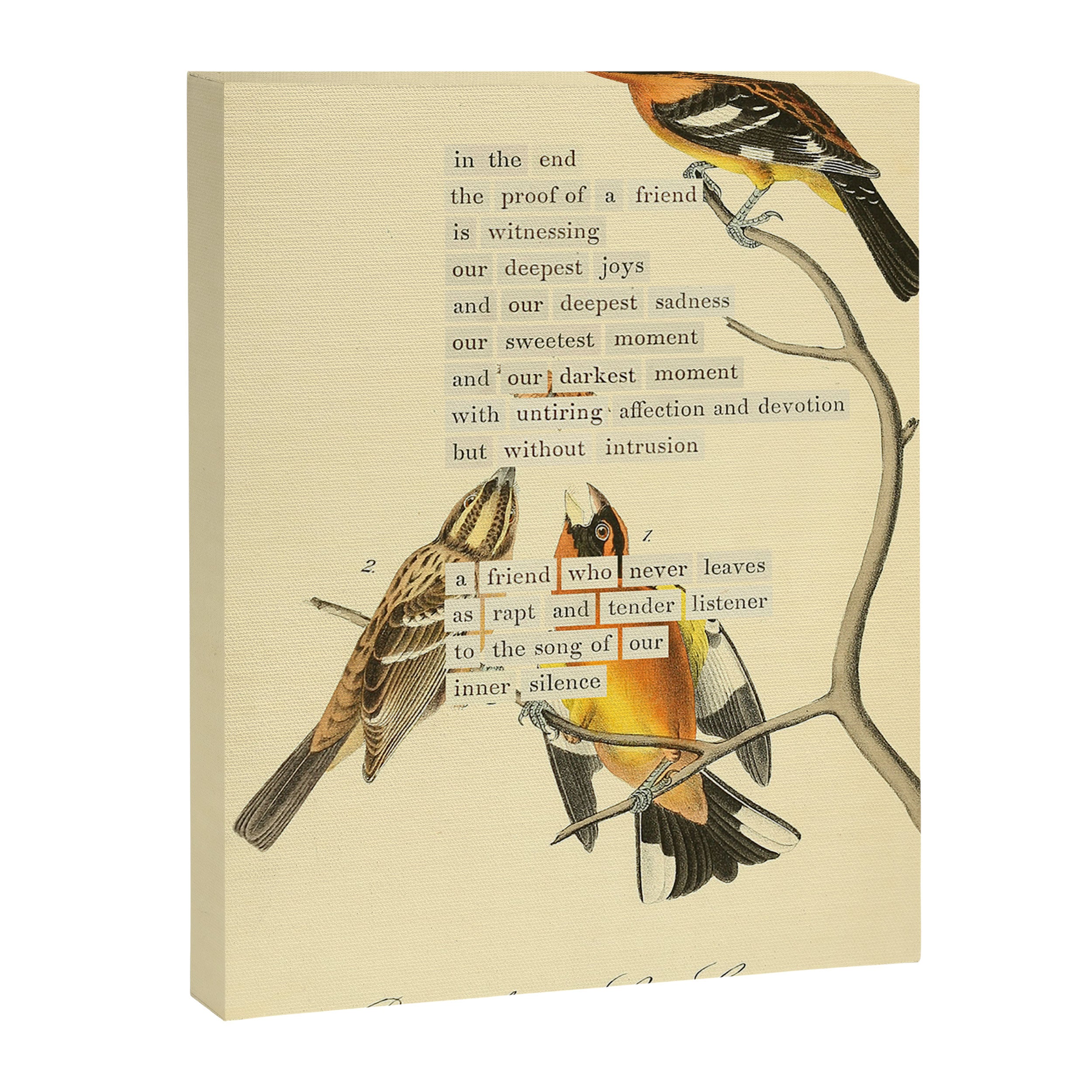Bird Divinations: Black-headed Song-grosbeak (about: almanacofbirds.org)  Canvas Print Gallery Image 6