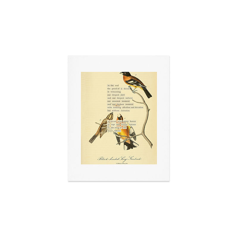 Bird Divinations: Black-headed Song-grosbeak (about: almanacofbirds.org)  Art Print Gallery Image 1