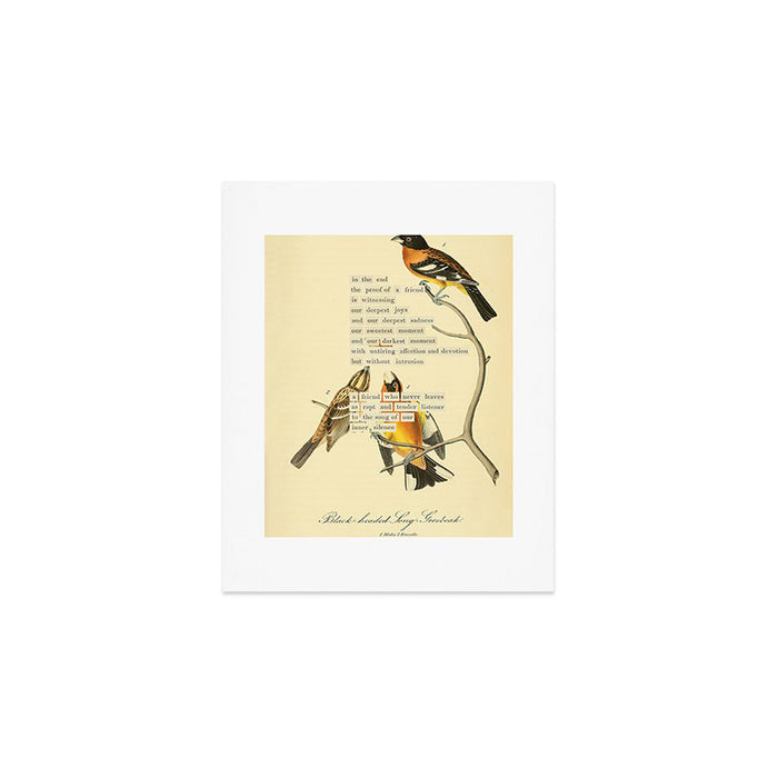 Bird Divinations: Black-headed Song-grosbeak (about: almanacofbirds.org)  Art Print Gallery Image 1