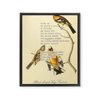 Bird Divinations: Black-headed Song-grosbeak (about: almanacofbirds.org)  Framed Canvas Print Gallery Image 6