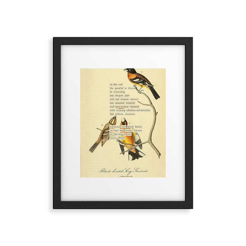 Bird Divinations: Black-headed Song-grosbeak (about: almanacofbirds.org)  Framed Art Print Gallery Image 4