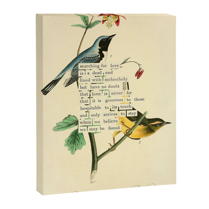 Bird Divinations: Black-Throated Blue Wood-Warbler (about: almanacofbirds.org) Canvas Print Gallery Image 1