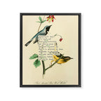 Bird Divinations: Black-Throated Blue Wood-Warbler (about: almanacofbirds.org) Framed Canvas Print Gallery Image 6