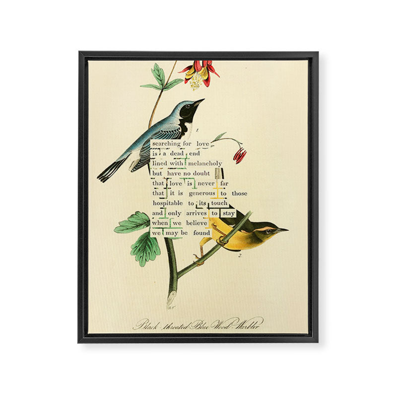 Bird Divinations: Black-Throated Blue Wood-Warbler (about: almanacofbirds.org) Framed Canvas Print Gallery Image 6