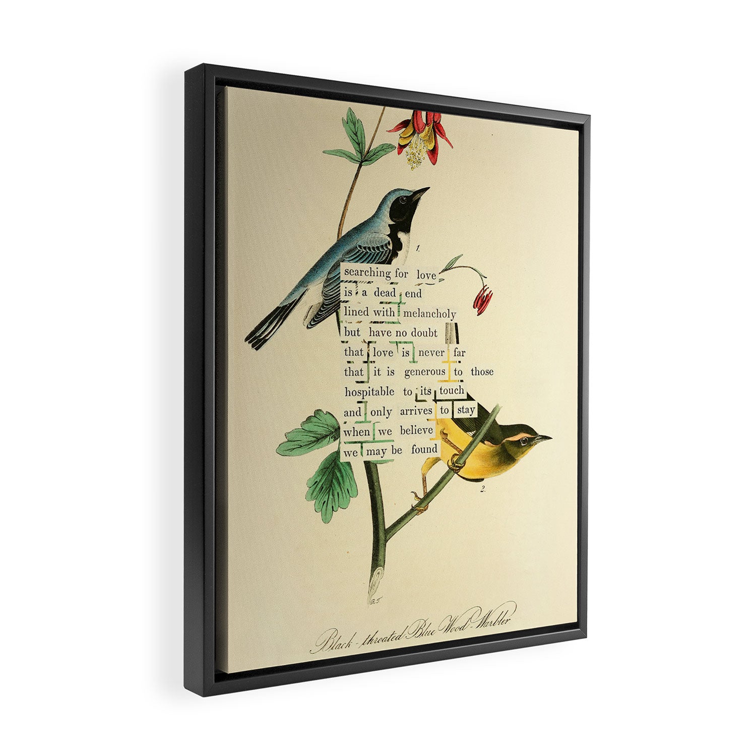 Bird Divinations: Black-Throated Blue Wood-Warbler (about: almanacofbirds.org) Framed Canvas Print Gallery Image 2