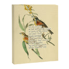Bird Divinations: Black-throated Bunting (about: almanacofbirds.org) Canvas Print Gallery Image 6