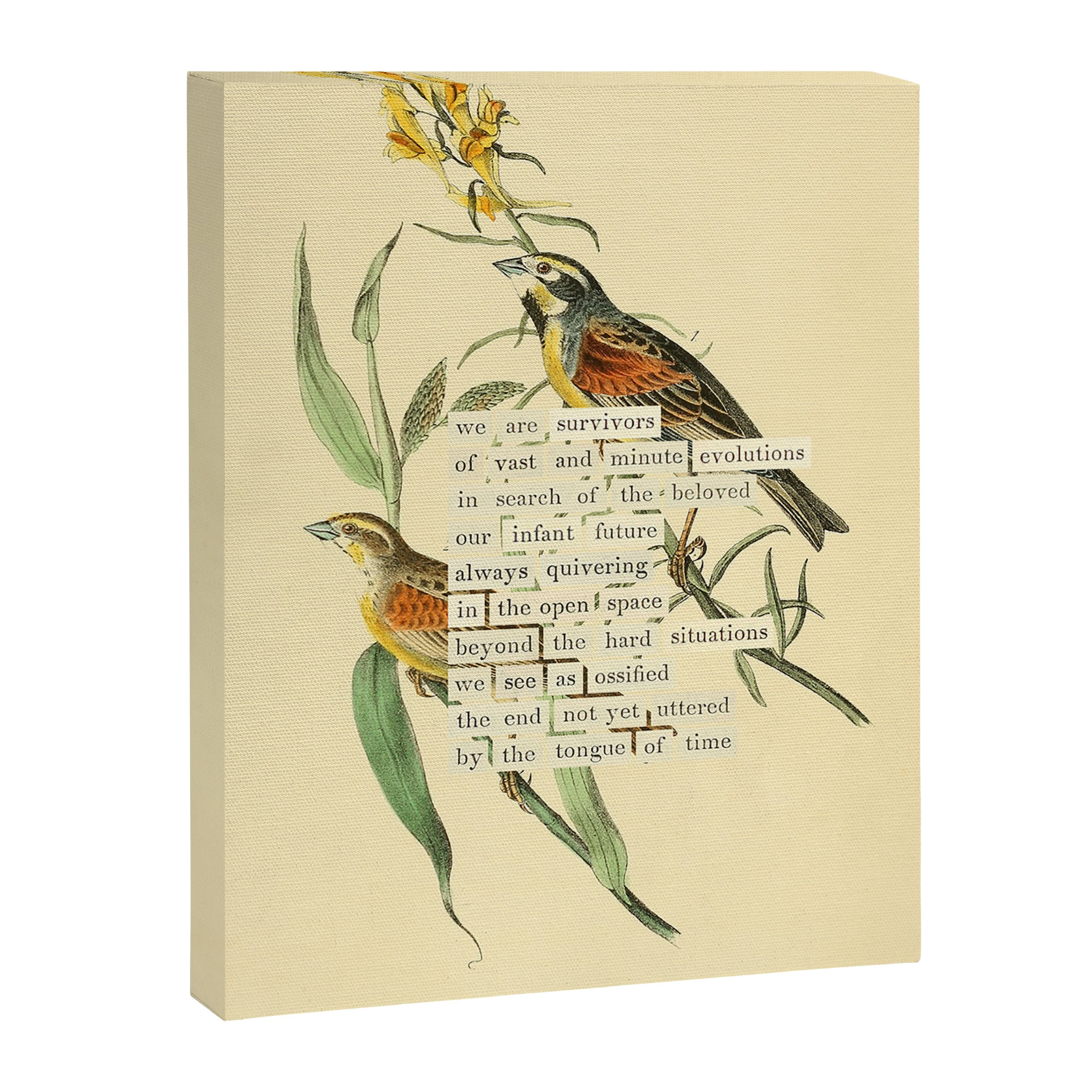 Bird Divinations: Black-throated Bunting (about: almanacofbirds.org) Canvas Print Gallery Image 6