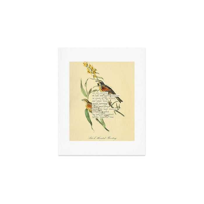 Bird Divinations: Black-throated Bunting (about: almanacofbirds.org) Art Print Gallery Image 1