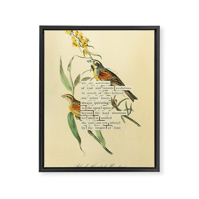 Bird Divinations: Black-throated Bunting (about: almanacofbirds.org) Framed Canvas Print Gallery Image 6