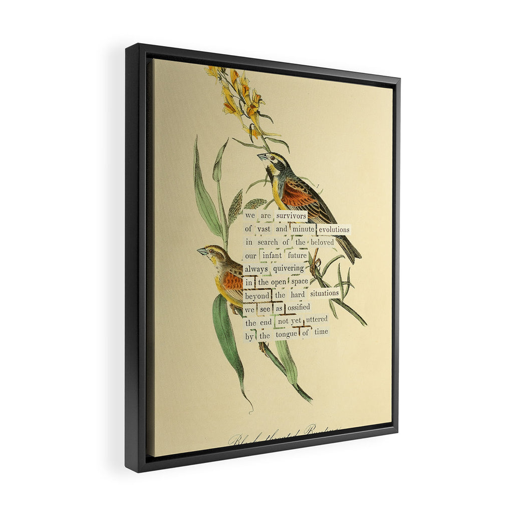 Bird Divinations: Black-throated Bunting (about: almanacofbirds.org) Framed Canvas Print Gallery Image 2