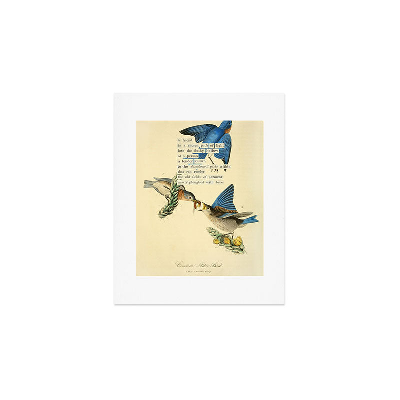 Bird Divinations: Blue Bird (about: almanacofbirds.org) Art Print Gallery Image 1