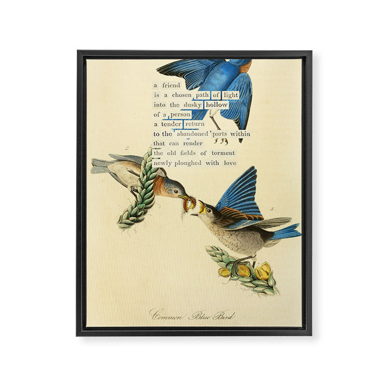 Bird Divinations: Blue Bird (about: almanacofbirds.org) Framed Canvas Print Gallery Image 6
