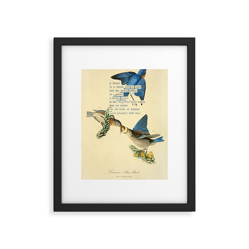 Bird Divinations: Blue Bird (about: almanacofbirds.org) Framed Art Print Gallery Image 4