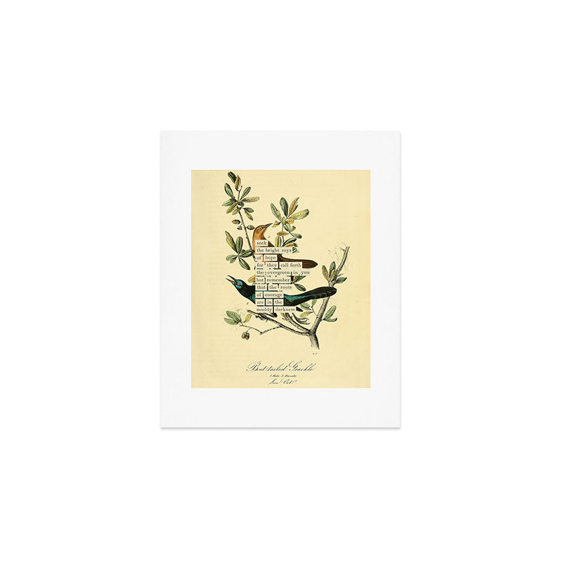 Bird Divinations: Boat-Tailed Grackle (about: almanacofbirds.org) Art Print Gallery Image 1