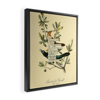 Bird Divinations: Boat-Tailed Grackle (about: almanacofbirds.org) Framed Canvas Print Gallery Image 2