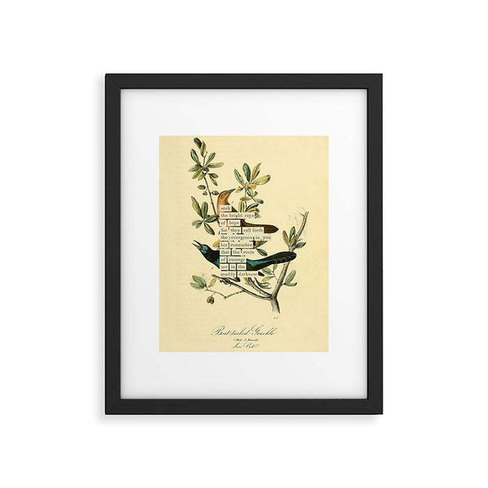 Bird Divinations: Boat-Tailed Grackle (about: almanacofbirds.org) Framed Art Print Gallery Image 1