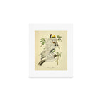 Bird Divinations: Brown Pelican (about: almanacofbirds.org) Art Print Gallery Image 1