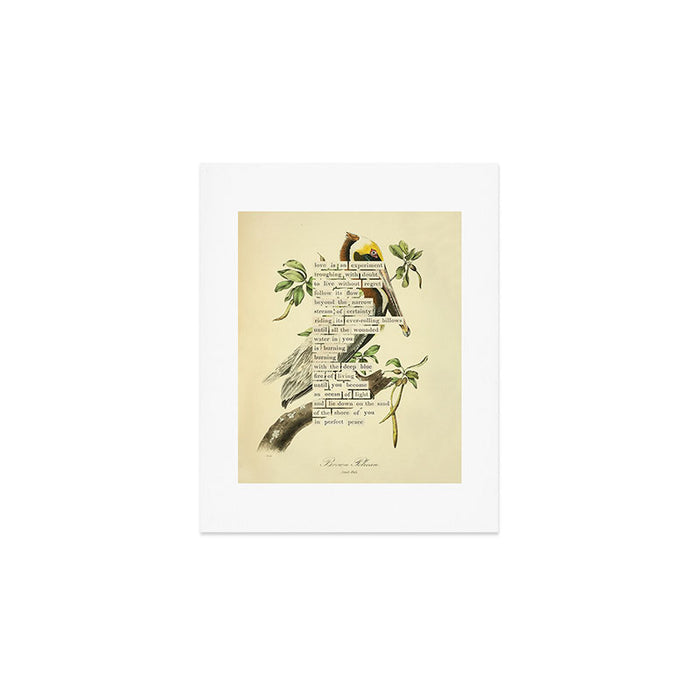 Bird Divinations: Brown Pelican (about: almanacofbirds.org) Art Print Gallery Image 1